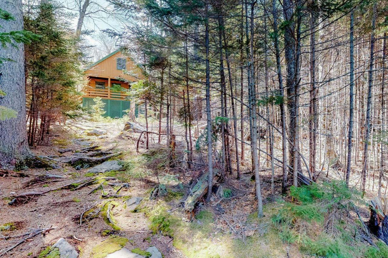 Loon Landing Lodge 格林维尔 外观 照片